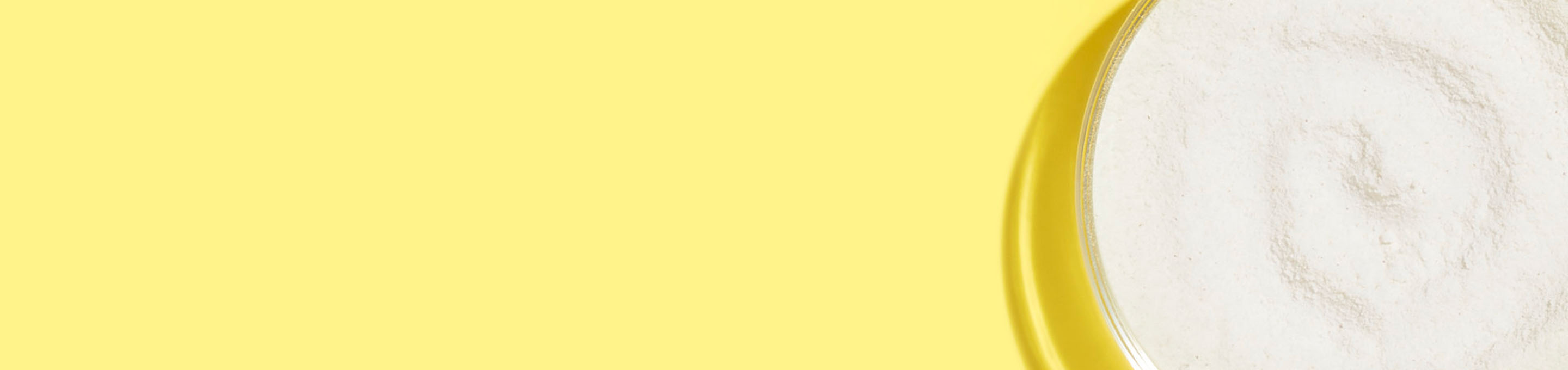 Up close shot of white mineral zinc oxide ingredient powder in a clear petri dish on the far right of the image, on a yellow background.
