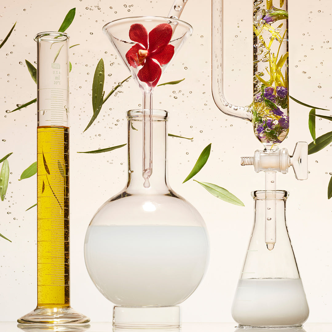 Beakers containing fermented plant oils with leaves against a beige background