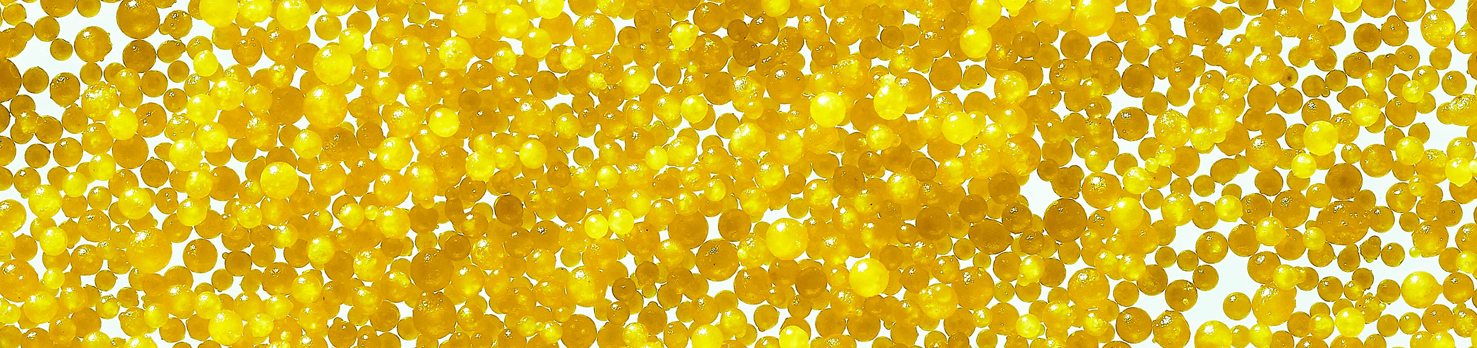 Up close shot of tiny yellow jojoba beads orbs all bunched together. 