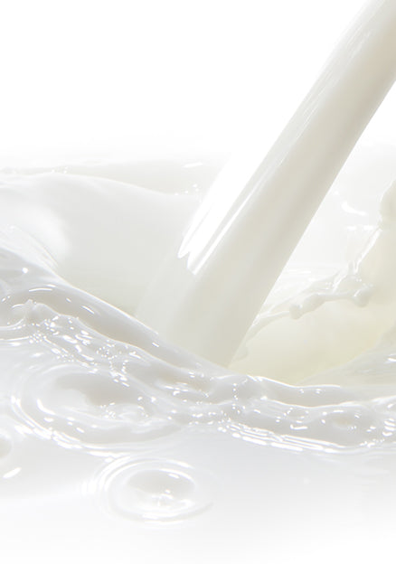 Close up shot of goat milk being poured into more milk, causing a ripple. 