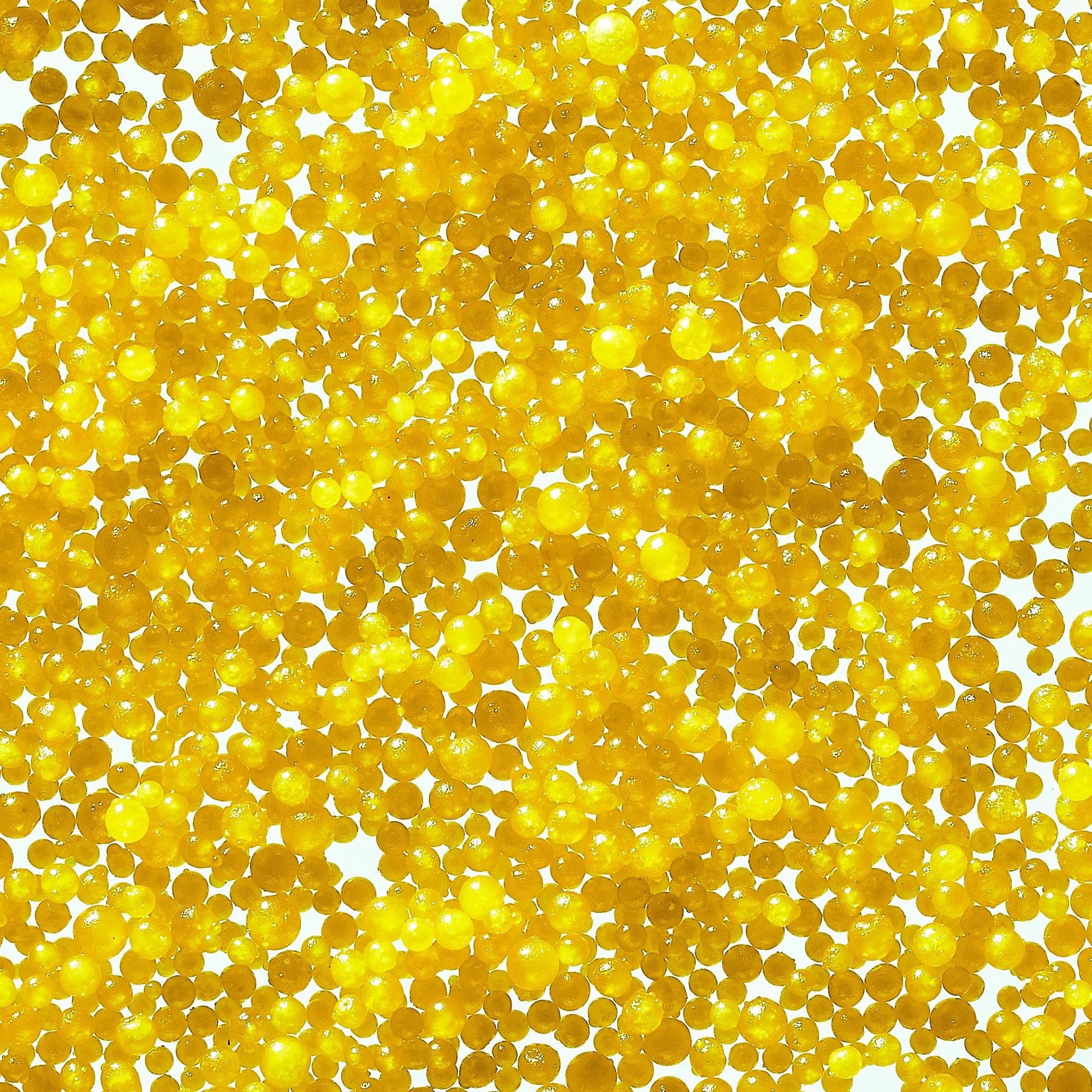 Up Close shot of jojoba beads against white background