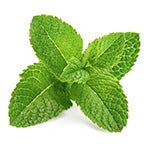 Mint