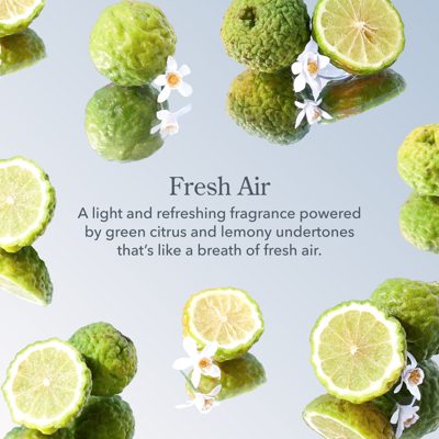 Fresh Air Hand & Body Wash and Lotion Caddy Set