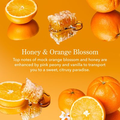 Honey & Orange Blossom Whipped Body Cream