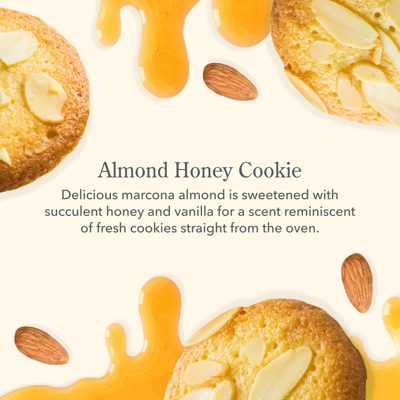 Almond Honey Cookie Hand & Body Wash and Lotion Caddy Set