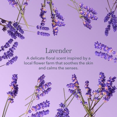 Lavender Lip Balm