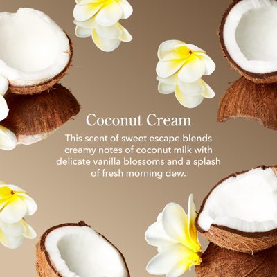 Coconut Delight Bodycare Bundle