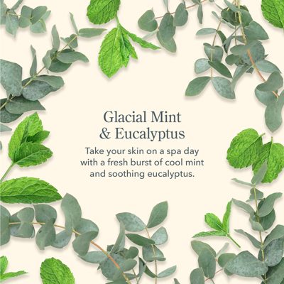Glacial Mint & Eucalyptus Hand & Body Wash and Lotion Caddy Set