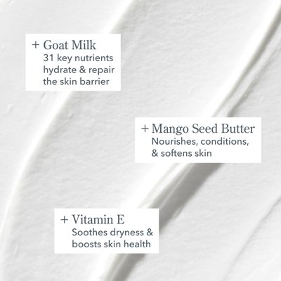 Vanilla Bean Bodycare Bundle