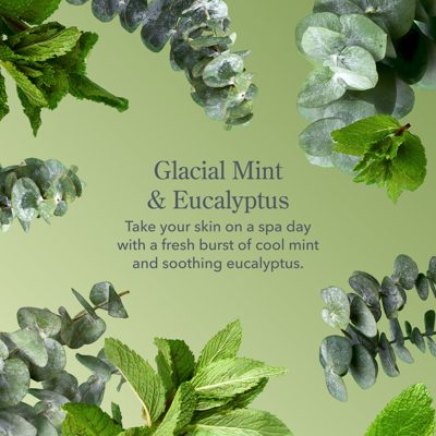 Glacial Mint & Eucalyptus Goat Milk Hand Cream Set of 2