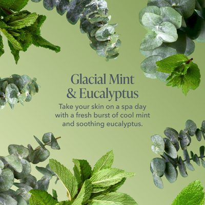 Glacial Mint & Eucalyptus Kindness Cafe Bodycare Trio